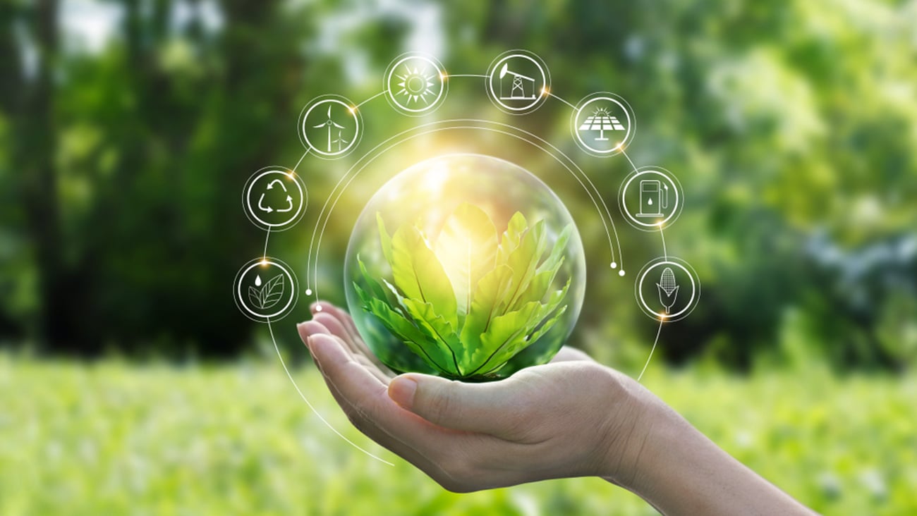 sustainability